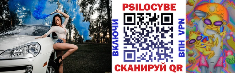 Галлюциногенные грибы Psilocybe  Адыгейск 
